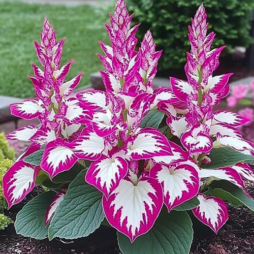 9129